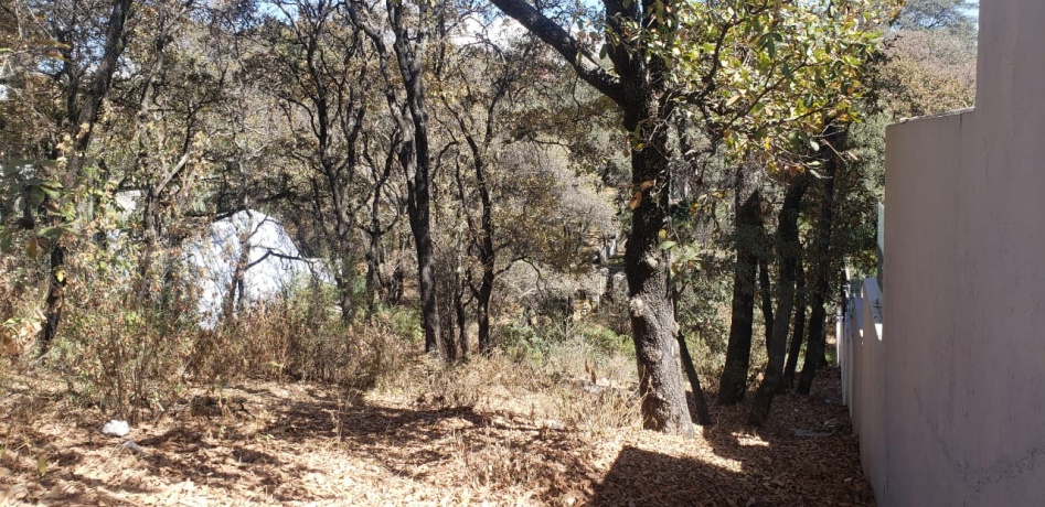 RANCHO SAN JUAN, ,Terreno,En Venta,1103