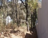 RANCHO SAN JUAN, ,Terreno,En Venta,1103