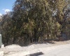 RANCHO SAN JUAN, ,Terreno,En Venta,1103
