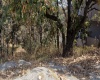 RANCHO SAN JUAN, ,Terreno,En Venta,1103