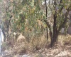 RANCHO SAN JUAN, ,Terreno,En Venta,1103