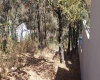 RANCHO SAN JUAN, ,Terreno,En Venta,1103