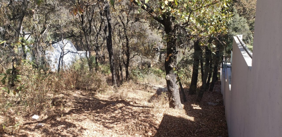 RANCHO SAN JUAN, ,Terreno,En Venta,1103