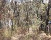 RANCHO SAN JUAN, ,Terreno,En Venta,1103
