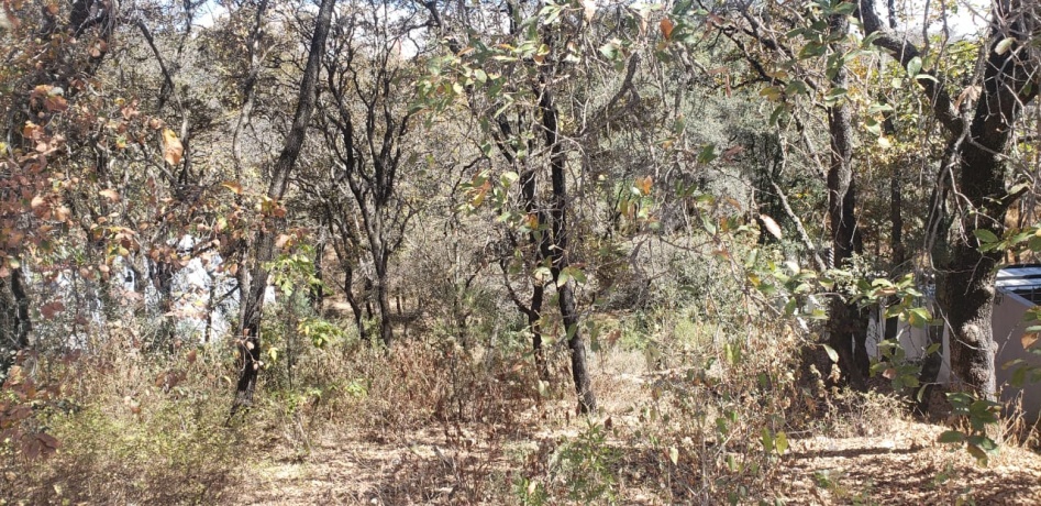 RANCHO SAN JUAN, ,Terreno,En Venta,1103