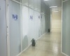 CIUDAD SATELITE, ,2 BathroomsBathrooms,Oficina,En Renta,1125