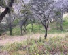 BOSQUE ESMERALDA, ,Terreno,En Venta,1129