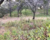 BOSQUE ESMERALDA, ,Terreno,En Venta,1129
