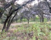 BOSQUE ESMERALDA, ,Terreno,En Venta,1129