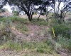 BOSQUE ESMERALDA, ,Terreno,En Venta,1129