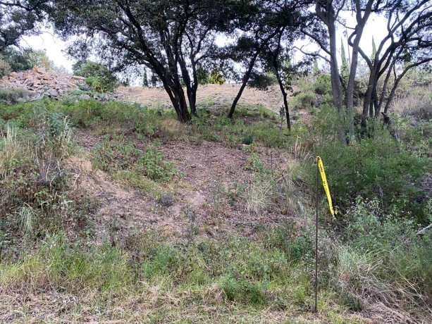 BOSQUE ESMERALDA, ,Terreno,En Venta,1129