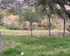 BOSQUE ESMERALDA, ,Terreno,En Venta,1129