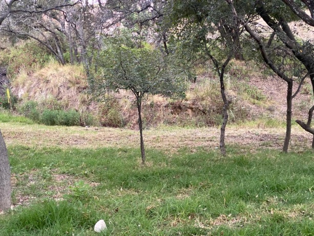 BOSQUE ESMERALDA, ,Terreno,En Venta,1129