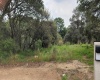 RANCHO SAN JUAN, ,Terreno,En Venta,1168