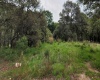 RANCHO SAN JUAN, ,Terreno,En Venta,1168