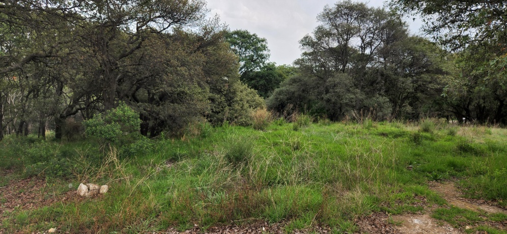 RANCHO SAN JUAN, ,Terreno,En Venta,1168