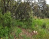 RANCHO SAN JUAN, ,Terreno,En Venta,1168