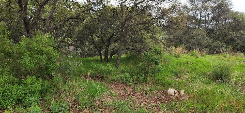 RANCHO SAN JUAN, ,Terreno,En Venta,1168