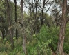 RANCHO SAN JUAN, ,Terreno,En Venta,1168