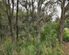 RANCHO SAN JUAN, ,Terreno,En Venta,1168