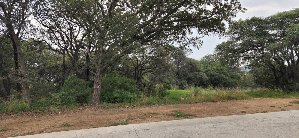 RANCHO SAN JUAN, ,Terreno,En Venta,1168