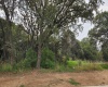 RANCHO SAN JUAN, ,Terreno,En Venta,1168