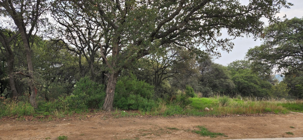 RANCHO SAN JUAN, ,Terreno,En Venta,1168