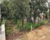 RANCHO SAN JUAN, ,Terreno,En Venta,1169