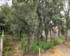 RANCHO SAN JUAN, ,Terreno,En Venta,1169