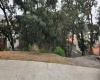 RANCHO SAN JUAN, ,Terreno,En Venta,1169
