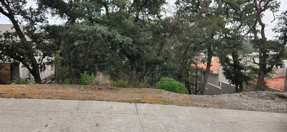 RANCHO SAN JUAN, ,Terreno,En Venta,1169