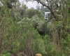 RANCHO SAN JUAN, ,Terreno,En Venta,1169