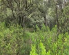 RANCHO SAN JUAN, ,Terreno,En Venta,1169