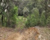 RANCHO SAN JUAN, ,Terreno,En Venta,1169