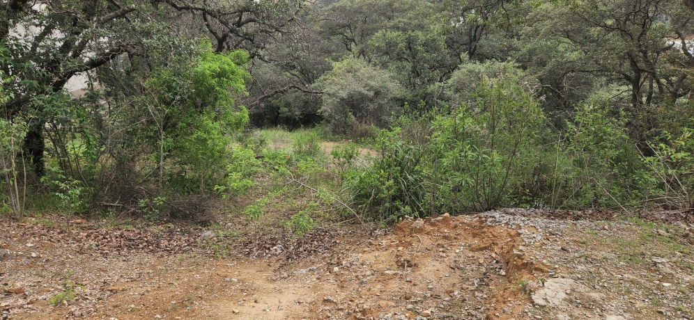 RANCHO SAN JUAN, ,Terreno,En Venta,1169