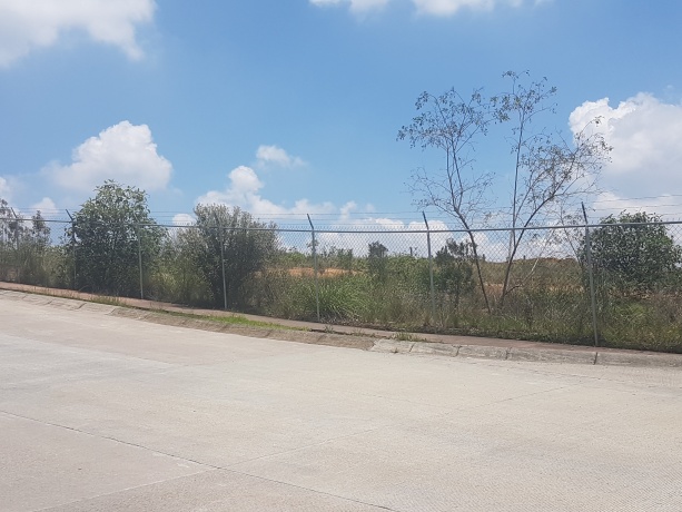 LOMAS VERDES 6TA SECCION, ,Terreno,En Venta,1038