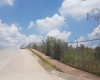 LOMAS VERDES 6TA SECCION, ,Terreno,En Venta,1038