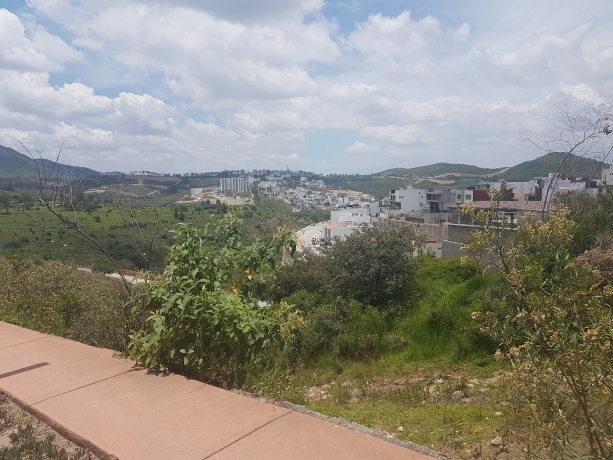 LOMAS VERDES 6TA SECCION, ,Terreno,En Venta,1039