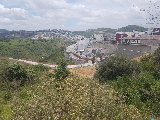 LOMAS VERDES 6TA SECCION, ,Terreno,En Venta,1039