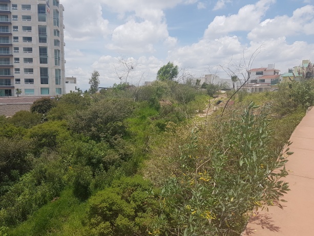 LOMAS VERDES 6TA SECCION, ,Terreno,En Venta,1039