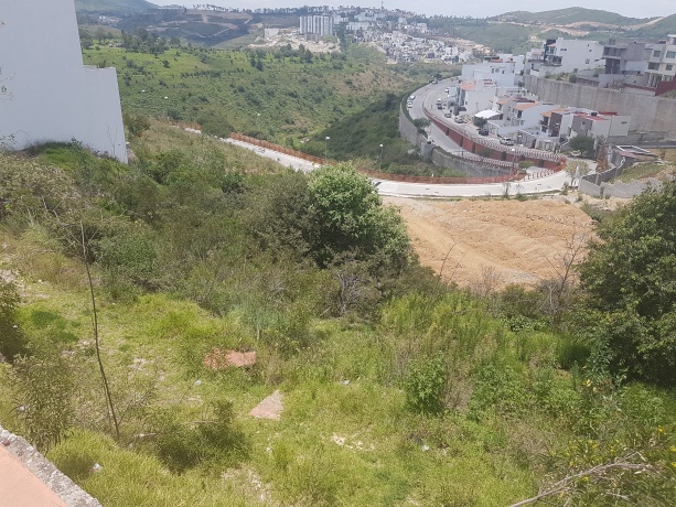 LOMAS VERDES 6TA SECCION, ,Terreno,En Venta,1039