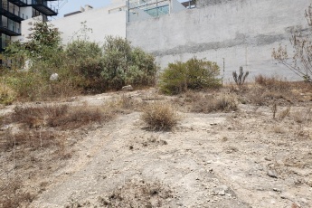 Terreno,En Venta,1042